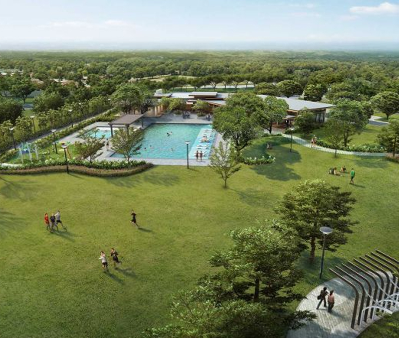 ALP-Resize-Ardia Vermosa